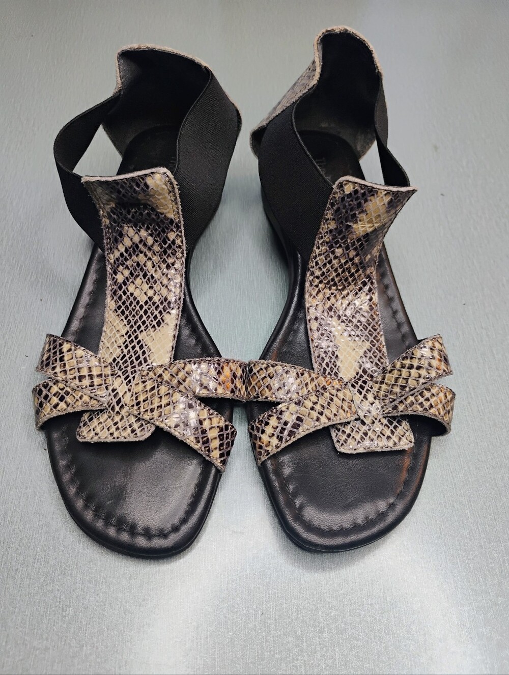The Flexx snake sanda